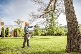 Seasonal Cleanup (Spring/Fall) in Harris Hill, NY