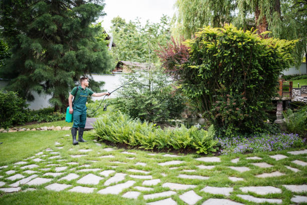 Harris Hill, NY Tree Services Company